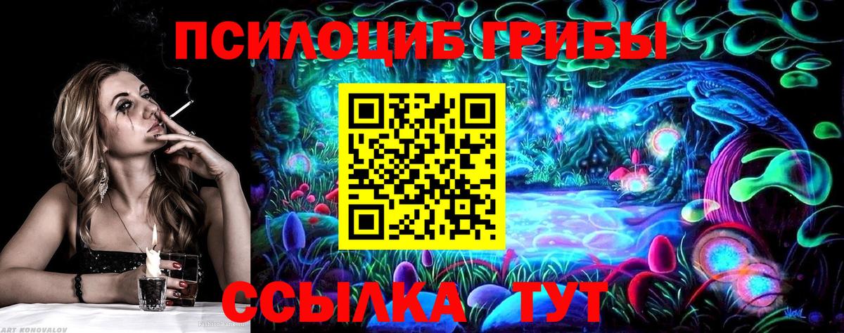 Псилоцибиновые грибы Psilocybe  Псилоцибиновые грибы мухоморы  Вход с VPN  Шумерля 